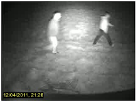 The Illuminator Battery Operated IR Light for RSI Videofied